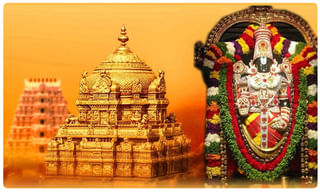 కొత్త వైరస్..!  కోళ్ల నుంచి గబ్బిలాలకు