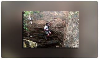 పొలాల్లో ‘ నకిలీ పులులు ‘.. రైతుల భలే ఐడియా