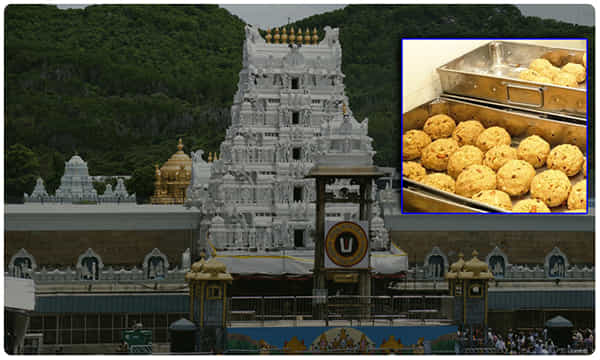 రాష్ట్రవ్యాప్తంగా.. శ్రీవారి లడ్డూ విక్రయాలకు విశేష స్పందన..!