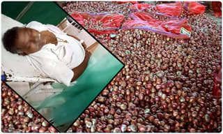 ఎన్‌హెచ్‌ఆర్సీని కలవనున్న దిశ పేరంట్స్..! మహిళలకు నైట్‌ షిఫ్ట్స్ వద్దు..!