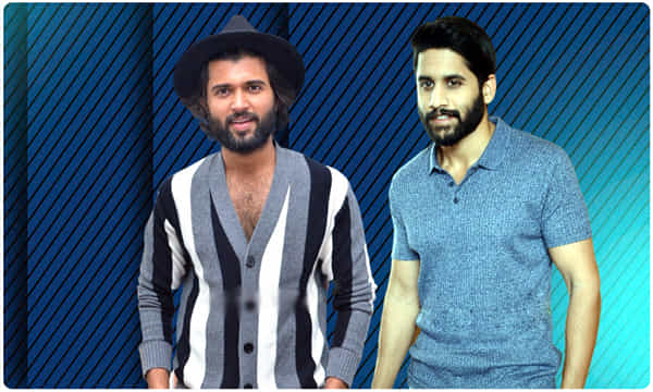 లవర్స్ డేని రౌడీకి వదిలేసిన చైతూ..!
