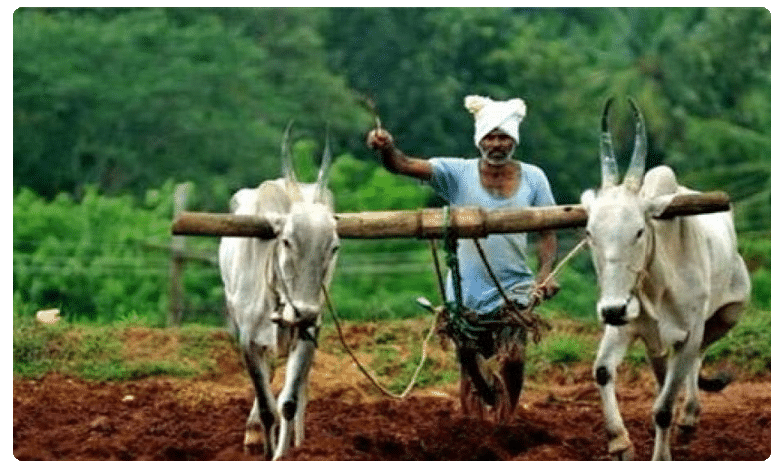 తెలంగాణ : రైతు బీమా పథకం అమలు కోసం రూ.1173.54 కోట్లు విడుదల