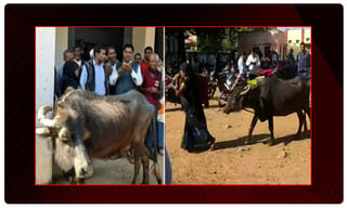 ఆ వీసీని తొలగించాల్సిందే.. బీజేపీ సీనియర్ నేత డిమాండ్