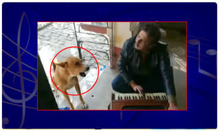 కిమ్‌ గారి వుమెన్ సోల్జర్లా ? డ్యాన్సర్లా ? వాహ్ !