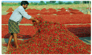 బోస్టన్ కమిటీ ఇచ్చిన రెండు ఆప్షన్లు ఇవే..!