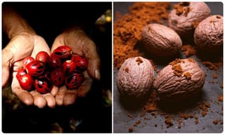 సంక్రాంతి నేపథ్యంలో.. హైదరాబాద్ నుంచి విజయవాడ వైపు ఇదీ పరిస్థితి!