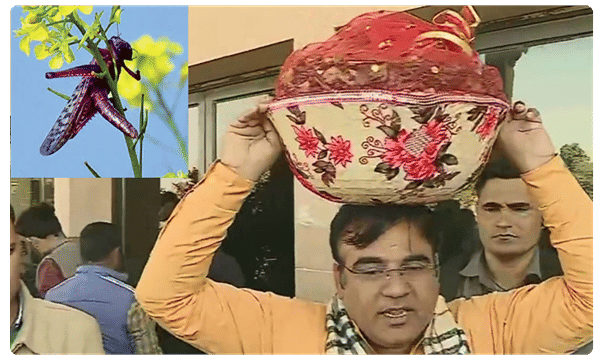 అసెంబ్లీకి మిడతల బుట్టతో ఎమ్మెల్యే..ఎందుకో తెలుసా..?