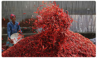 తెలంగాణ : మునిసిపల్ బరి నుంచి జనసేన ఔట్..