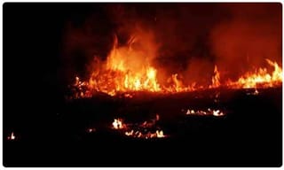 “పదవుల కోసం రాజకీయాల్లోకి రాలేదు”