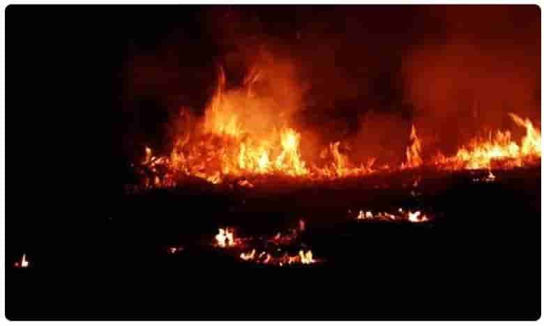 బాగ్దాద్లోని యుఎస్ ఎంబసీ సమీపంలో రాకెట్ దాడులు!