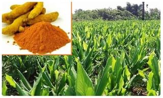 భారత్‌లో రూ.7వేల కోట్ల పెట్టుబడులు..అమెజాన్ సీఈఓ ప్రకటన