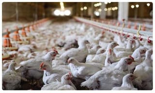 బ్రేకింగ్.. టీడీపీ మాజీ ఎమ్మెల్యే ఇంటిపై దాడి