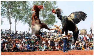 ఏపీ: గ్రామ సచివాలయ ఉద్యోగిని ఆత్మహత్య..