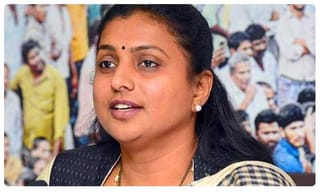 తిరుమల చేరుకున్న కేటీఆర్