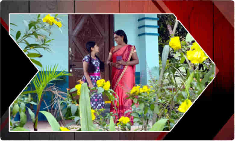 డాక్టర్ బాబుకి మనమీద ప్రేమ లేదమ్మా !