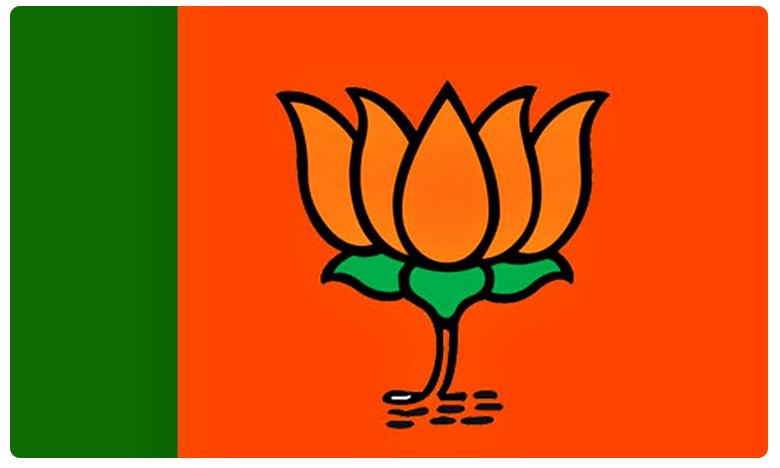 BJP Donations: కాషాయ పార్టీకి కరెన్సీ వెల్లువ.. రూ 742 కోట్లతో అందనంత ఎత్తున..