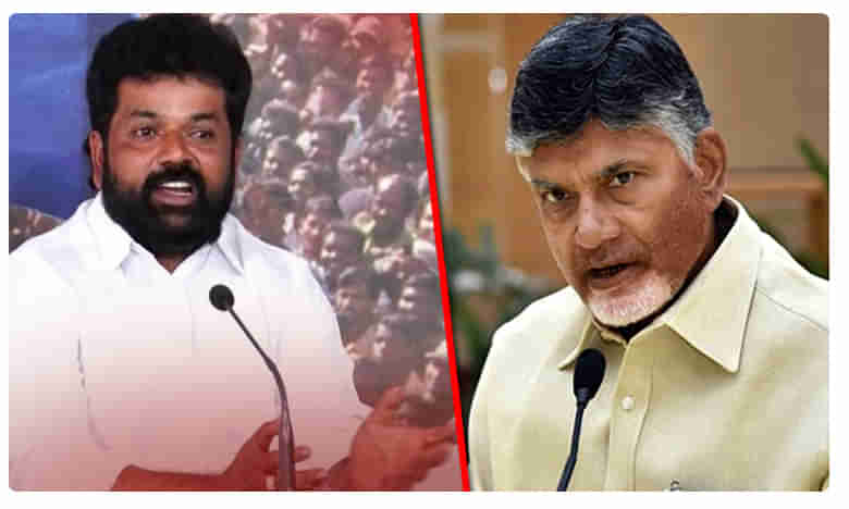 నాకేమైనా జరిగితే చంద్రబాబు, లోకేషే కారణం.. ఎంపీ వ్యాఖ్యలు