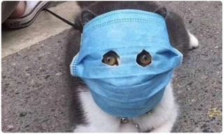 గుడ్ న్యూస్.. కరోనాను జయించిన 101 ఏళ్ల వృద్దుడు..