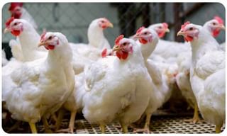 పారితోషికం తగ్గించిన లేడి సూపర్ స్టార్..