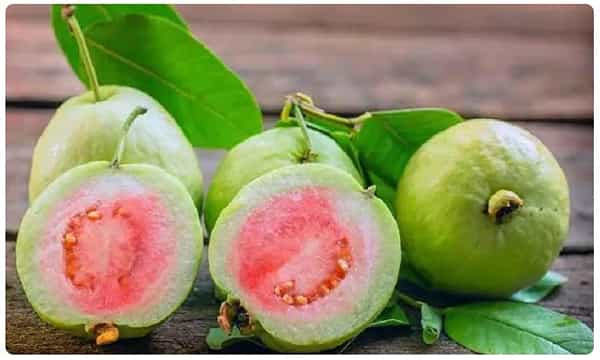 Gauva for health: జామతో అద్భుతమైన ఆరోగ్యం!