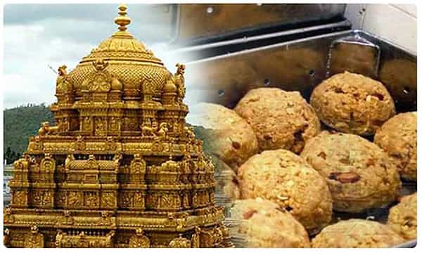 శ్రీవారి కల్యాణ లడ్డూ ప్రియులకు గుడ్న్యూస్..! ఇకపై సామాన్యులకు కూడా..