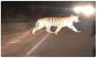 యువకుడి ప్రాణం తీసిన ఆన్‌లైన్ గేమ్..