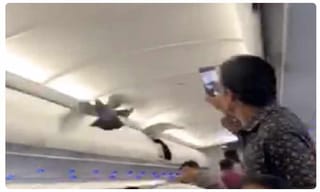 IND Vs NZ: కోహ్లీకి అసలు ఏమైంది.?