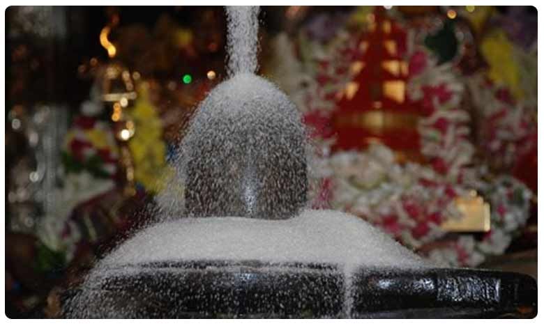 Maha Shivaratri: పరమశివుడిని ఏ ద్రవ్యంతో అభిషేకిస్తే.. ఏ ఫలితం దక్కుతుంది...