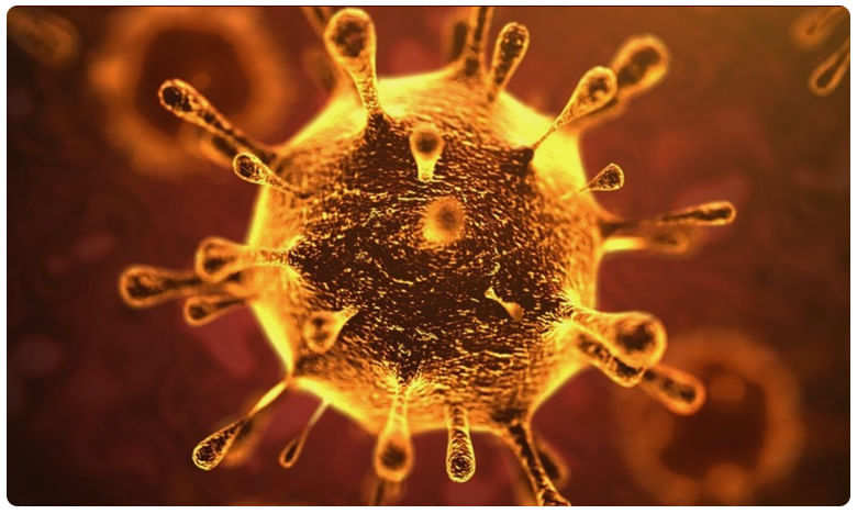 Coronavirus: కోరలు చాస్తున్న కరోనా.. భారత్‌లో 9కి చేరిన మృతుల సంఖ్య..