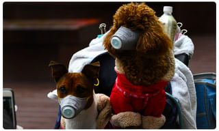 Covid 19 In India: ఏపీ ప్రజలకు గుడ్‌న్యూస్..!