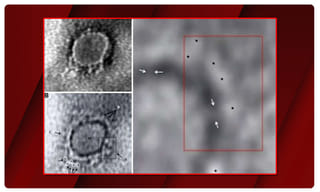 కేంద్ర మాజీ మంత్రి, రాజ్యసభ సభ్యుడు కన్నుమూత..