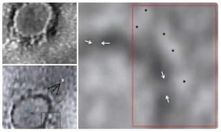 చిన్నదేశమే.. కరోనాను మాత్రం కట్టడి చేసింది..!