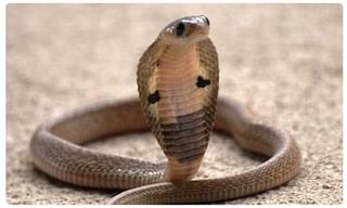 వాటర్‌ హీటర్‌ ఆన్‌చేస్తూ… షార్ట్ సర్క్యూట్‌తో మహిళ మృతి