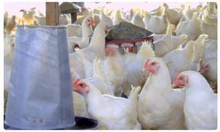 ప్రధాని భార్యకు కరోనా.. వర్క్ ఇంటినుంచే