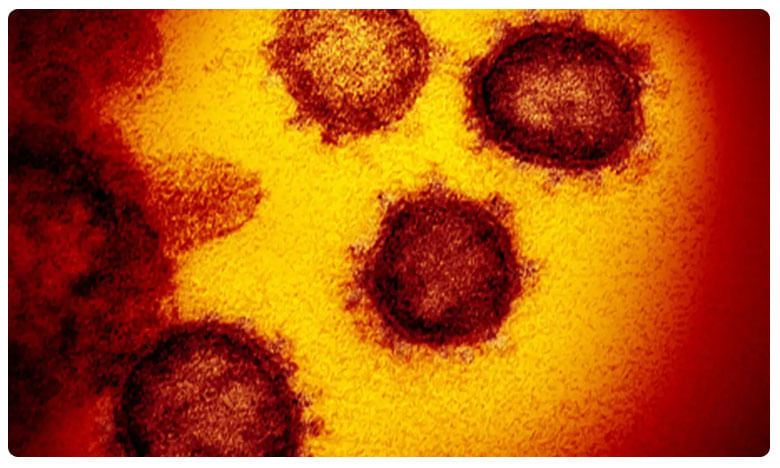 Coronavirus: 'కరోనా' గురించి మరో షాకింగ్ న్యూస్‌.. !