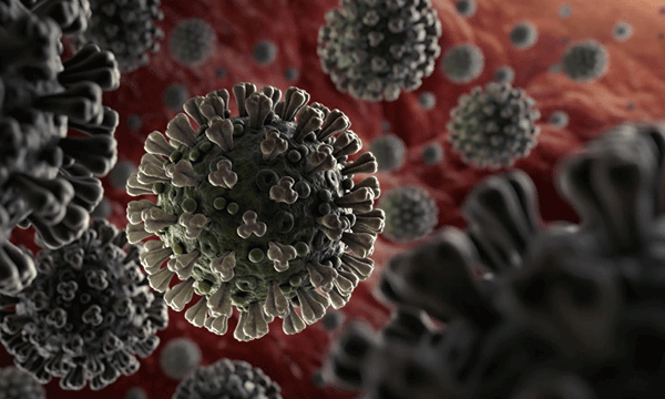 Coronavirus: షట్లర్కు కరోనా.. భయంలో ఇండియన్ ప్లేయర్లు..!