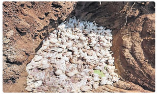 నీ సుత్తి సలహాలు ఆపు..నాకు కరోనా వచ్చేలా చెయ్యి