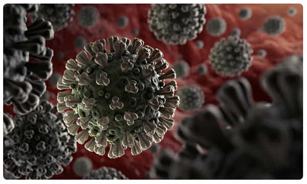Coronavirus: షాకింగ్.. ఒకే ఇంట్లో 26 మందికి కరోనా..!