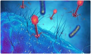 ‘ నా ఇండియా టూర్.. వాహ్ ! మోదీ…..  యూ ఆర్ గ్రేట్ !’  ఇండియా టూర్ పై ట్రంప్