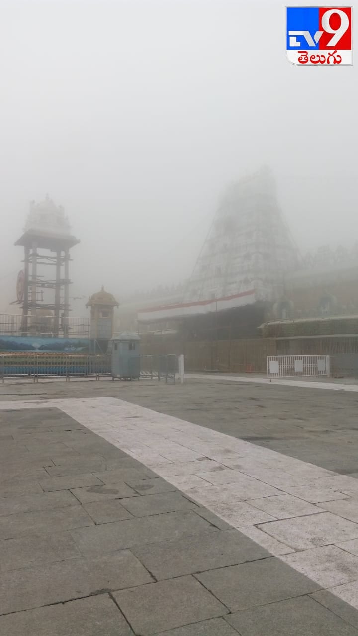 తిరుమలలో కుండపోత వర్షం  చిత్రమాలిక