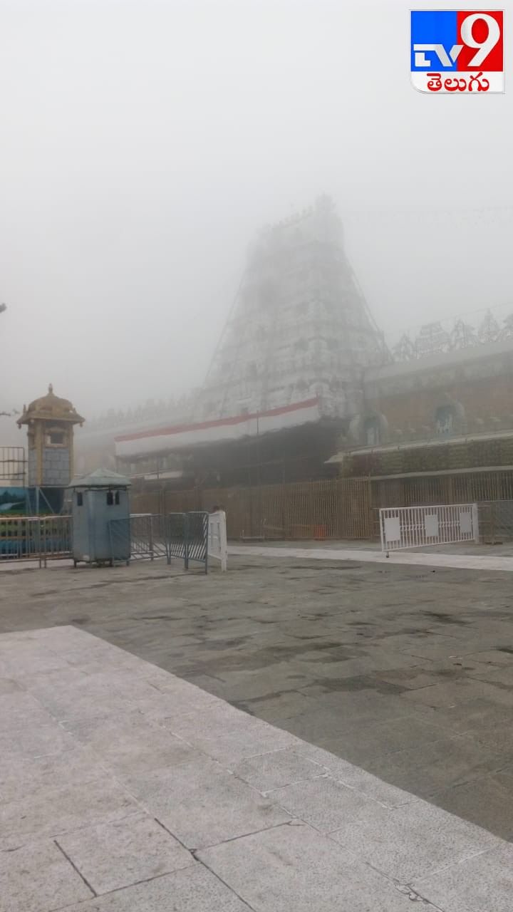 తిరుమలలో కుండపోత వర్షం  చిత్రమాలిక