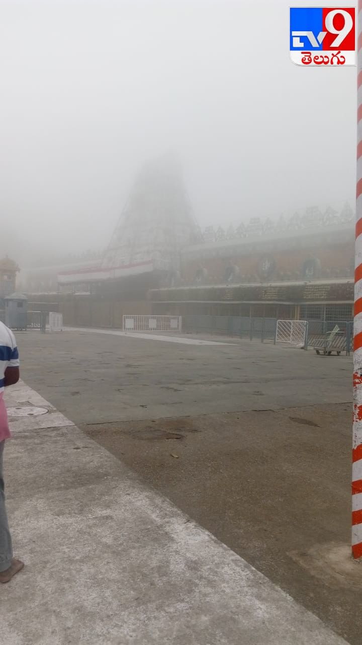 తిరుమలలో కుండపోత వర్షం  చిత్రమాలిక