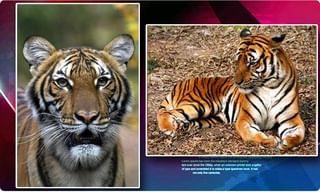 PF ఖాతాదారులకు మ‌రో గుడ్‌న్యూస్‌…ఆధార్ కార్డుతో మరో అదిరిపోయే బెనిఫిట్!