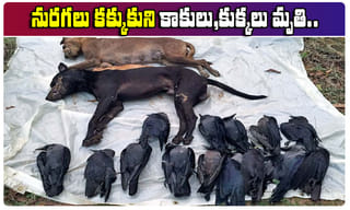 భారత్ క్రికెటర్లు సెంచరీలు కోసం.. పాకిస్తాన్ ప్లేయర్స్ దేశం కోసం ఆడతారు..