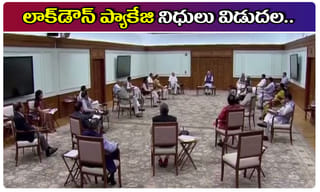 రెండు పెంపుడు పిల్లులకు కరోనా.. ఉలిక్కిపడేలా చేసిన ఘటన