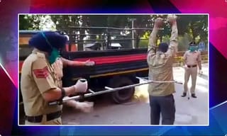 షాకింగ్‌ న్యూస్.. అసోంలో 1900 పందులు మృతి.. మిస్టరీగా మారిన డెత్‌ సీన్‌..