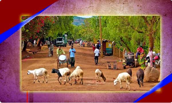 గ్రామీణ ప్రాంతాల్లో లాక్డౌన్ రూల్స్ సడలింపు..ఈ పనులు చేసుకోవచ్చు..