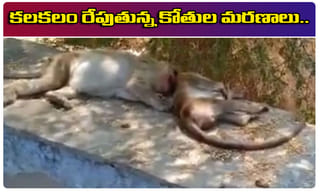 కరోనా అప్డేట్: దేశంలో 18601 పాజిటివ్ కేసులు, 590 మరణాలు..