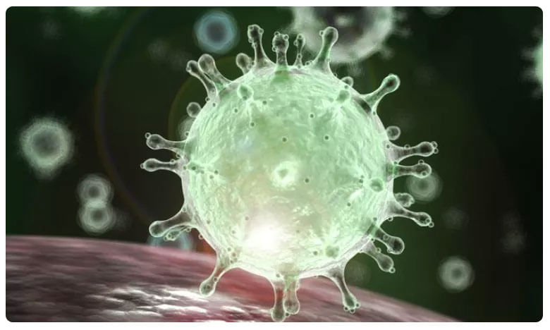 ఆ 18 రాష్ట్రాల్లో కరోనా తీవ్రత తక్కువే..