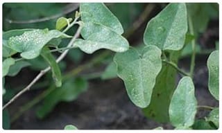 అలర్ట్‌.. ఫ్యాన్లు, కూలర్లు, ఏసీల వినియోగంపై ప్రభుత్వం న్యూ గైడ్‌లైన్స్..!